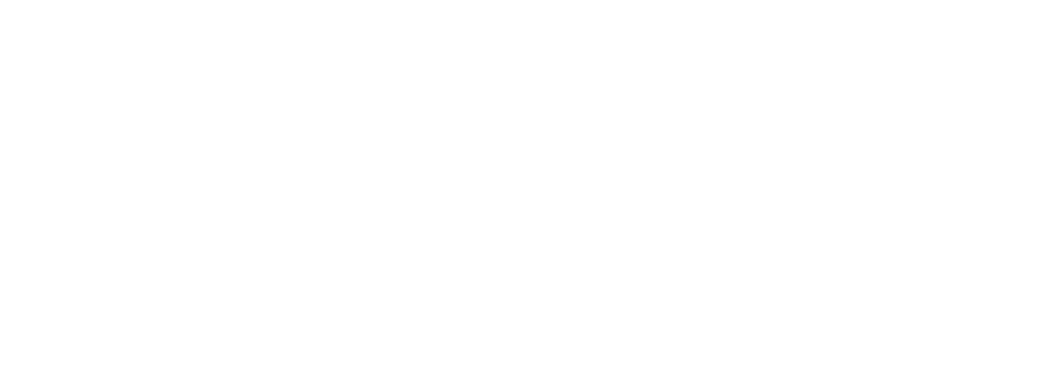 Eagle Sky